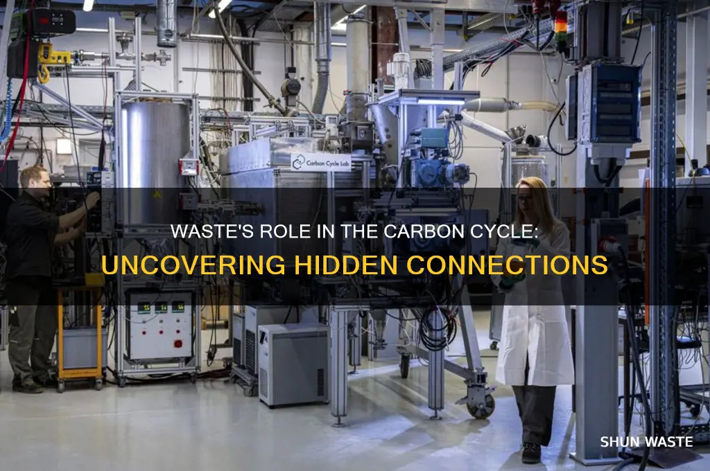 does our waste have to do with the carbon cyle