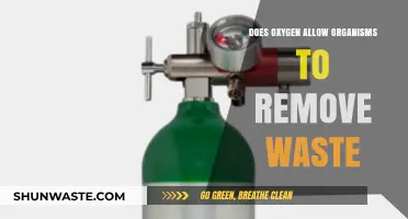 Oxygen's Role in Waste Removal: How Organisms Detoxify Efficiently