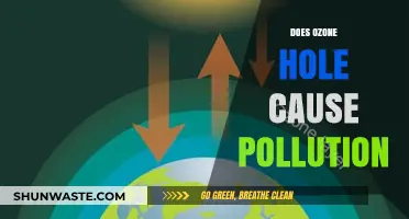 Ozone Hole: A Misunderstood Environmental Villain?