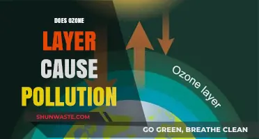 Ozone Layer: Friend or Foe in the Fight Against Pollution?