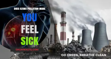 Ozone Pollution: Sickness, Symptoms, and Solutions