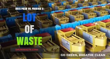 Palm Oil Waste: Environmental Impact and Sustainable Solutions Explored