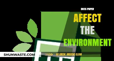 Paper's Environmental Impact: Uncovering Its Effects on Our Planet