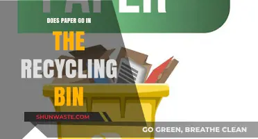 Recycling Paper: Understanding What Goes in the Bin and Why
