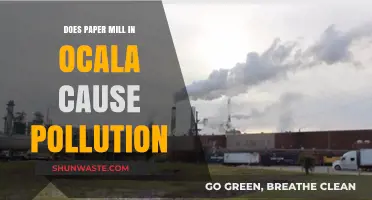 Ocala's Paper Mill: Environmental Impact and Pollution Concerns