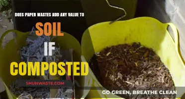 Can Composted Paper Waste Enhance Soil Health and Fertility?