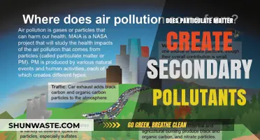 Particulate Matter: Primary and Secondary Pollutants Explained
