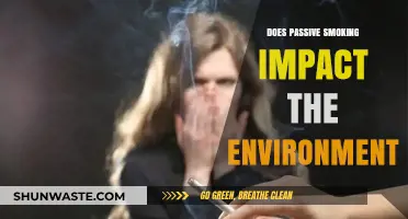 Passive Smoking's Environmental Impact: Unseen Dangers and Ecological Consequences