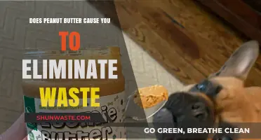 Does Peanut Butter Aid Digestion and Waste Elimination?