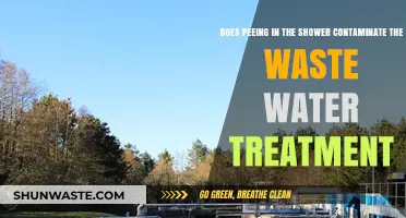 Peeing in the Shower: Impact on Wastewater Treatment Explained