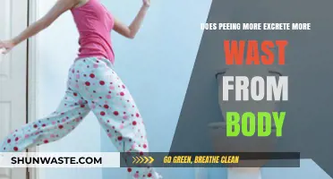 Increased Urination: Does It Really Flush Out More Body Waste?