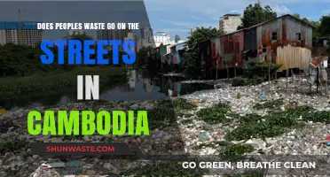 Cambodia's Street Waste Crisis: Causes, Impacts, and Potential Solutions