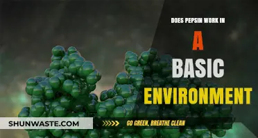 Does Pepsin Function in Basic Conditions? Exploring Enzyme Activity Beyond Acidity