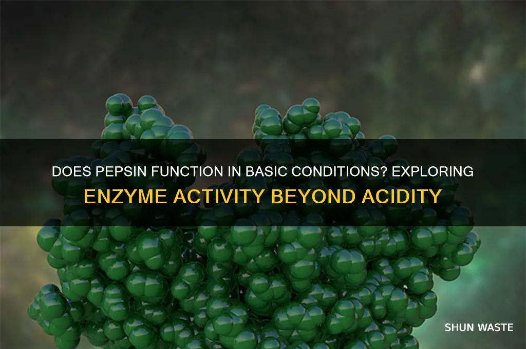 does pepsin work in a basic environment