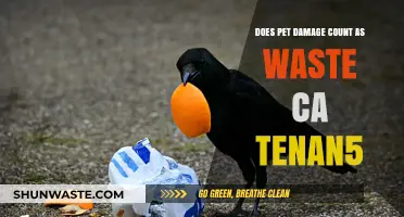 Pet Damage vs. Normal Wear: What Counts as Waste in CA Tenancy?