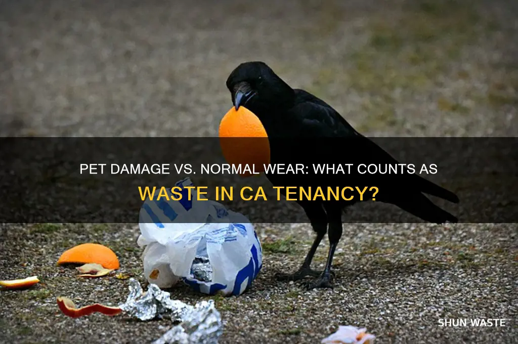 does pet damage count as waste ca tenan5