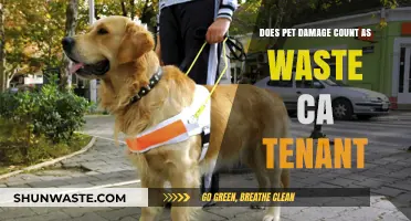 Pet Damage vs. Waste: Tenant Rights in California Explained