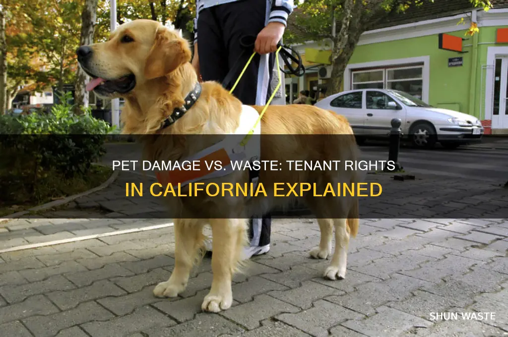 does pet damage count as waste ca tenant