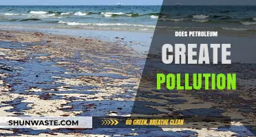 Petroleum Pollution: The Dark Side of Oil