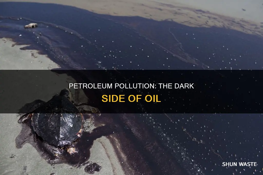 does petroleum create pollution