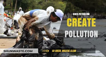 Petroleum's Pollution Problem: Impacting Our Planet
