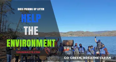 Picking Up Litter: Small Act, Big Impact on Our Environment?