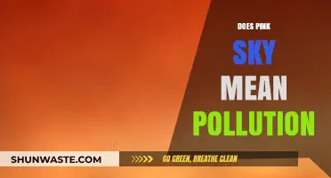 Pink Sky: Pollution or Natural Wonder?