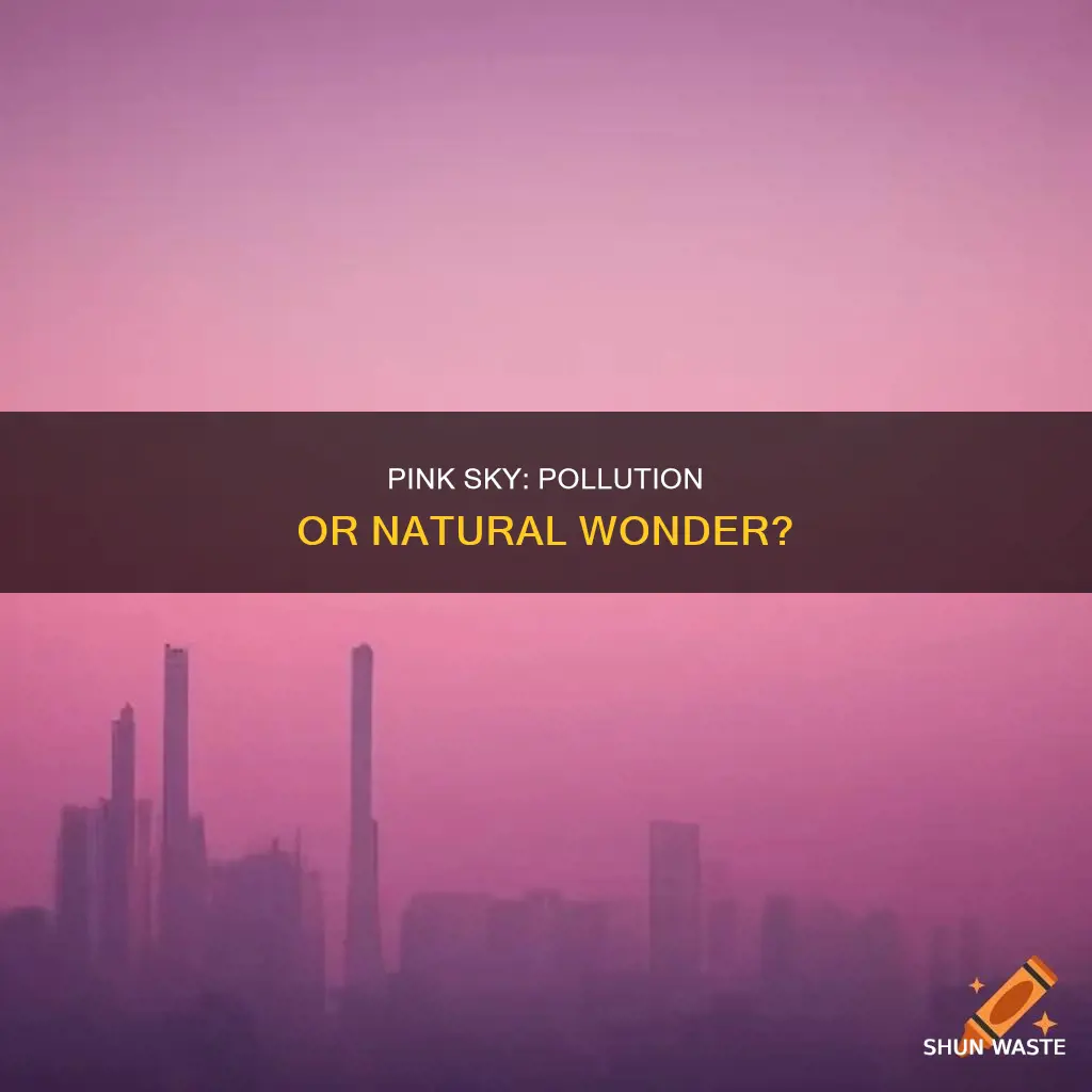 does pink sky mean pollution