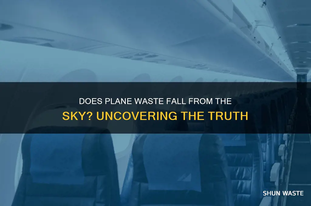 does plane waste fall from the sky