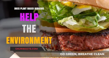 Plant-Based Burgers: A Sustainable Choice for the Environment?