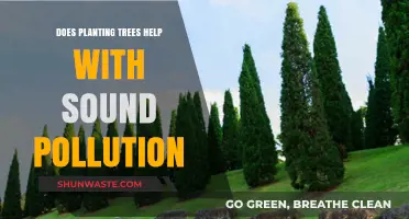 Planting Trees: A Natural Sound Barrier