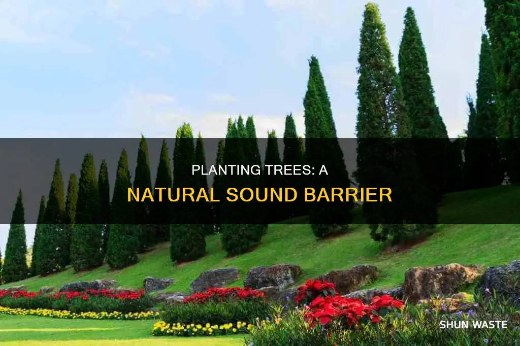 does planting trees help with sound pollution