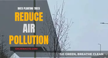 Planting Trees: Reducing Air Pollution, Improving Our Health