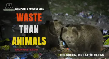 Plants vs. Animals: Which Produces Less Waste in Ecosystems?