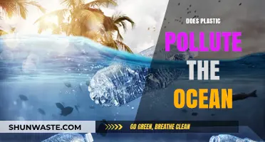 Plastic Pollution: How It's Harming Our Oceans