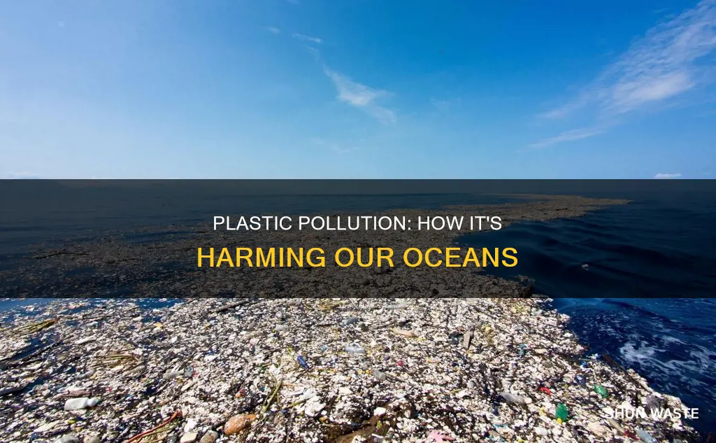 does plastic pollute the ocean