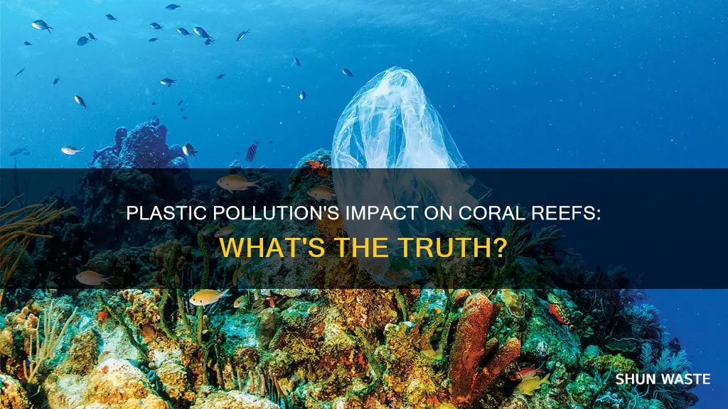 does plastic pollution affect coral reefs