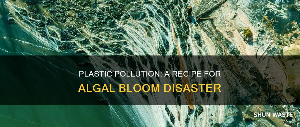 does plastic pollution cause algal blooms