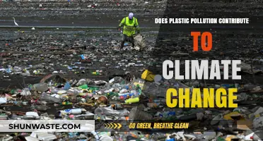 Plastic Pollution's Climate Change Impact