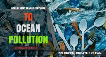 How Plastic Silverware Impacts Ocean Pollution and Health