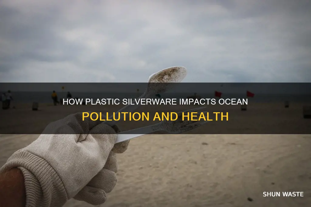 does plastic silvare contibute to ocean pollution