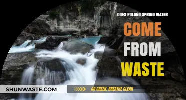 Poland Spring Water Source: Waste or Natural Spring?