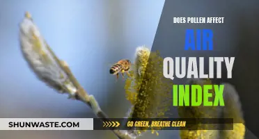 Pollen's Impact: Air Quality Index and Allergies Explained