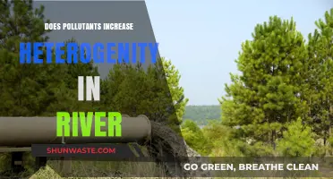 River Pollution: A Complex Diversity Challenge