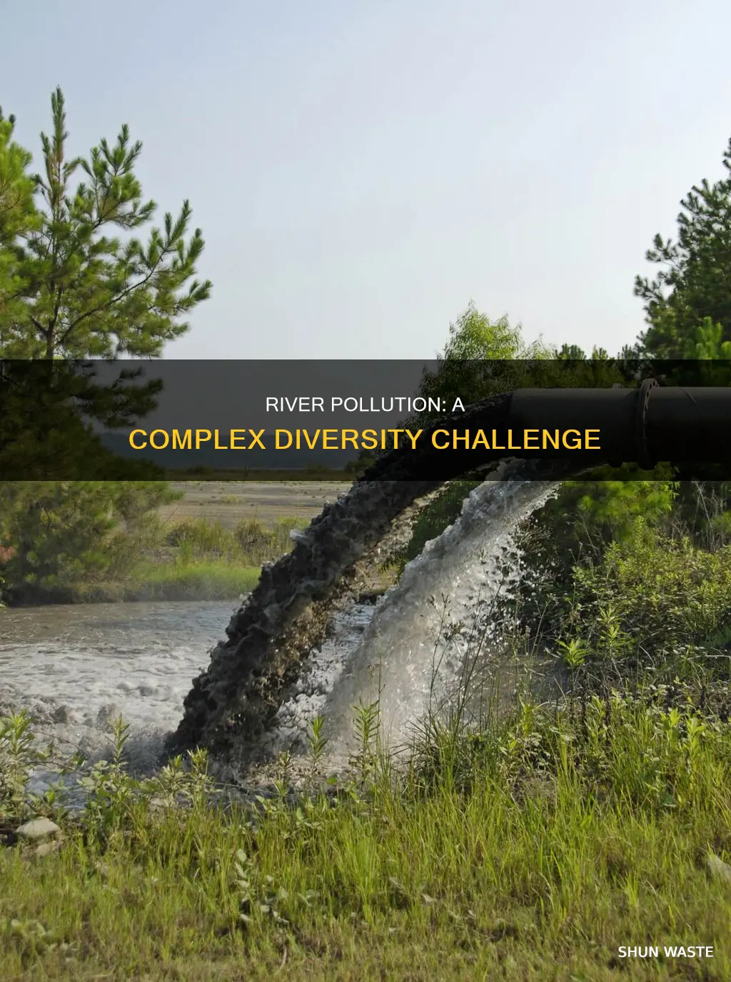 does pollutants increase heterogenity in river