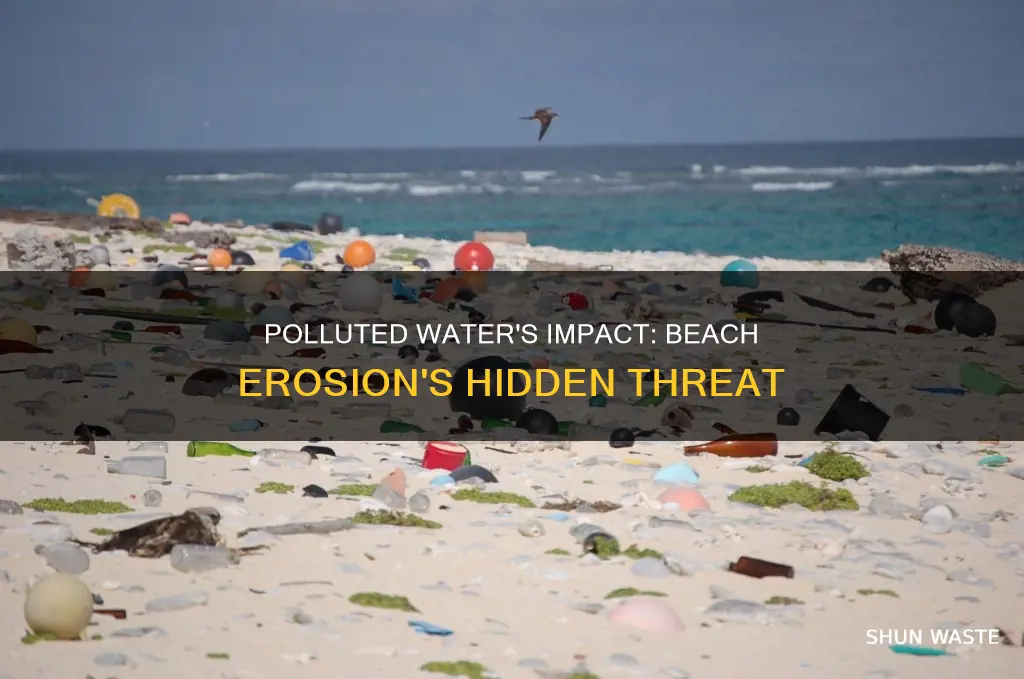 does polluted water erode a beach more than clean water