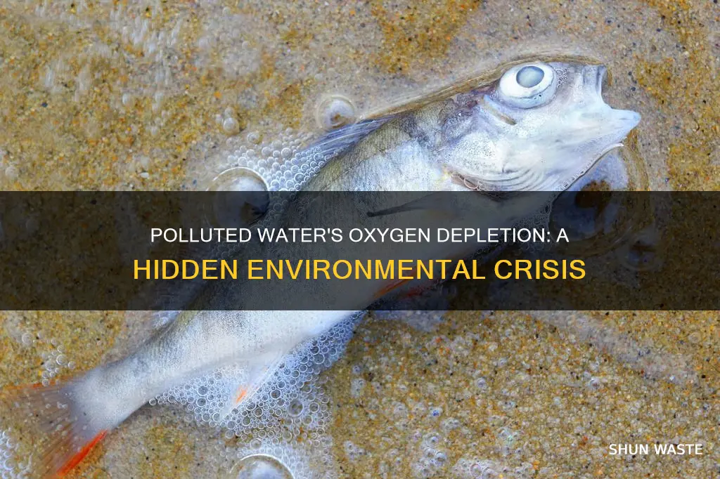 does polluted water have less oxygen