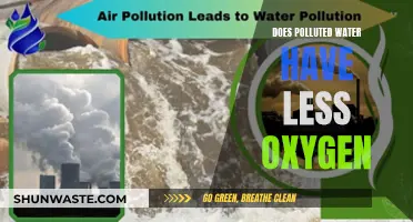Polluted Water: Deprived of Oxygen?