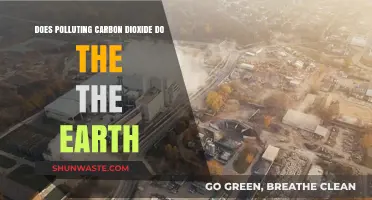 Carbon Dioxide: Earth's Silent Killer?