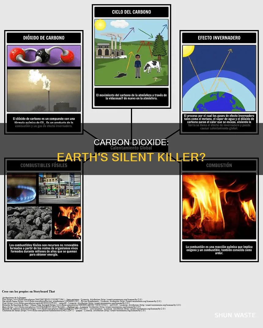 does polluting carbon dioxide do the the earth